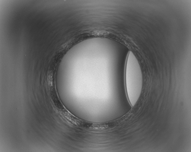 X0000084000368200702160802