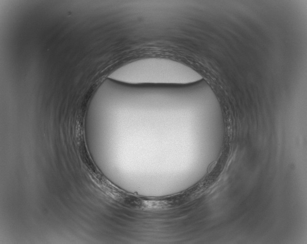 X0000084000371200702160802