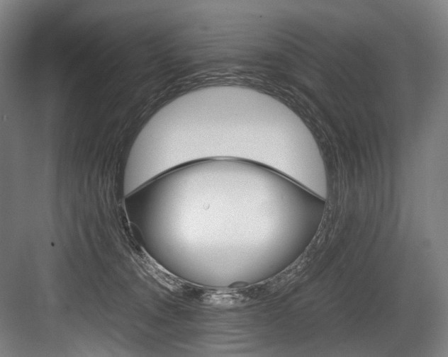 X0000084000372200702160802