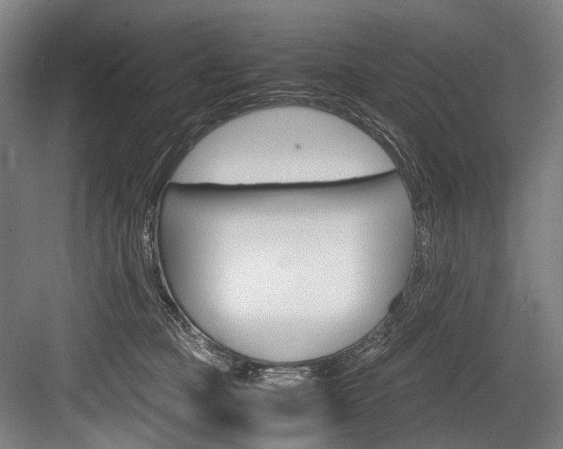 X0000084000373200702160802