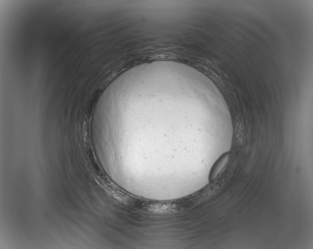 X0000084000375200702160803