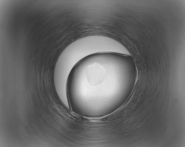 X0000084000376200702160803