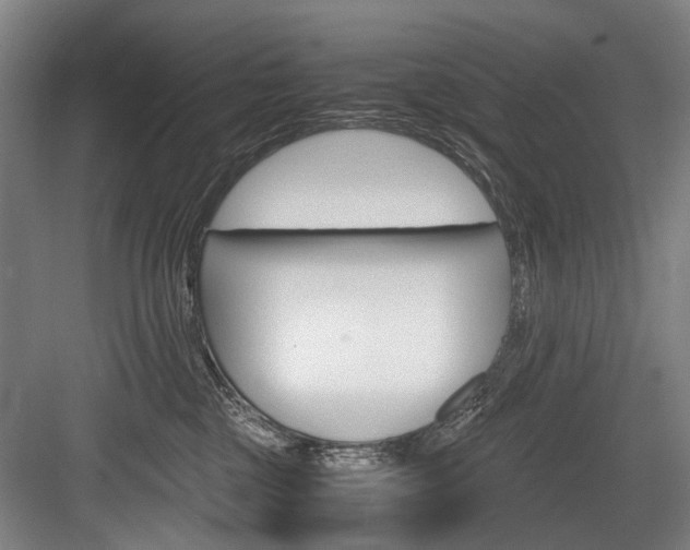 X0000084000377200702160803