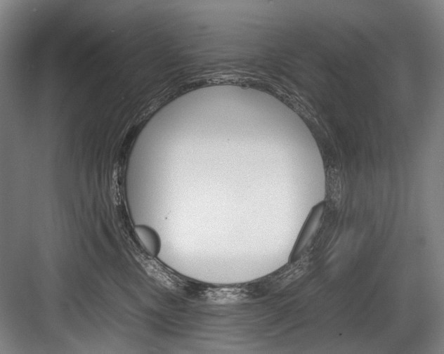 X0000084000378200702160803