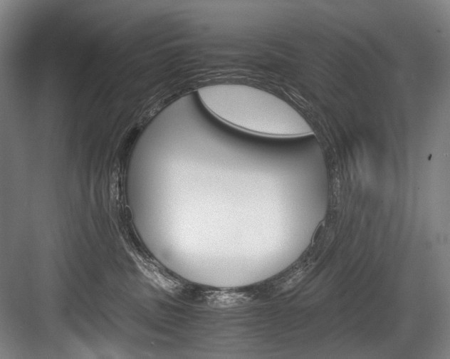 X0000084000379200702160803