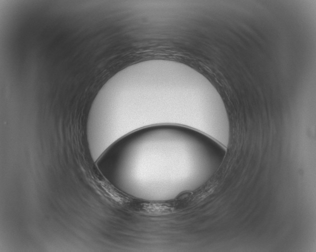 X0000084000380200702160803