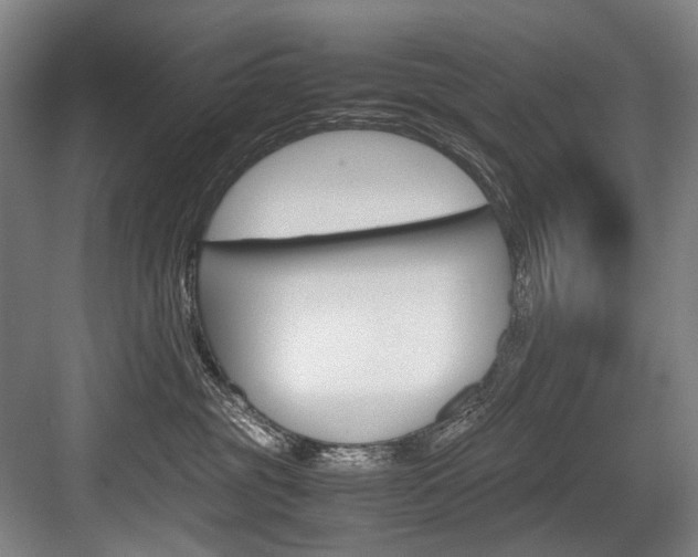 X0000084000381200702160803