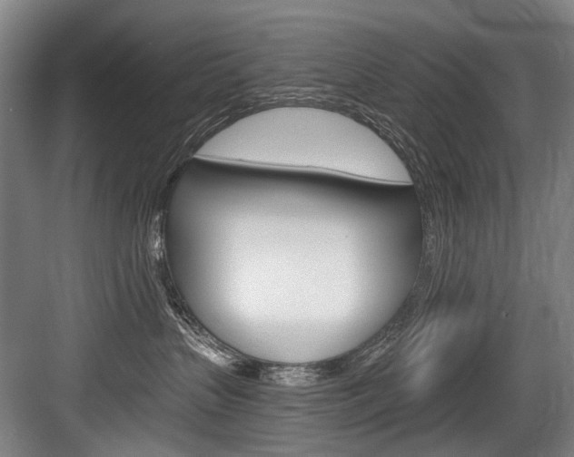 X0000084000383200702160803