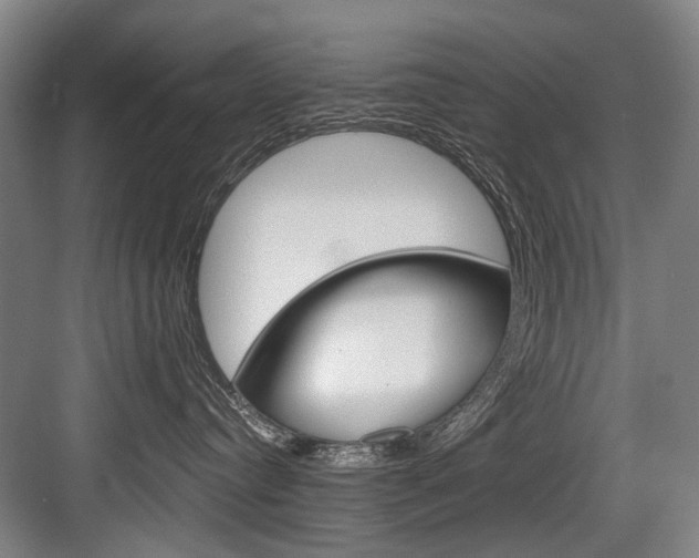 X0000084000384200702160803