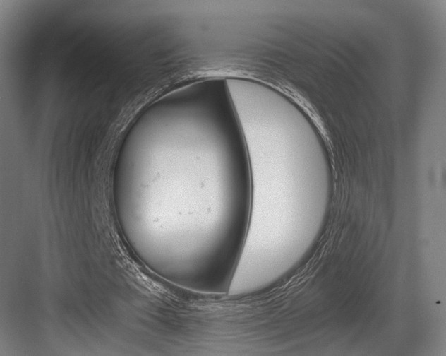 X0000084000385200702160802