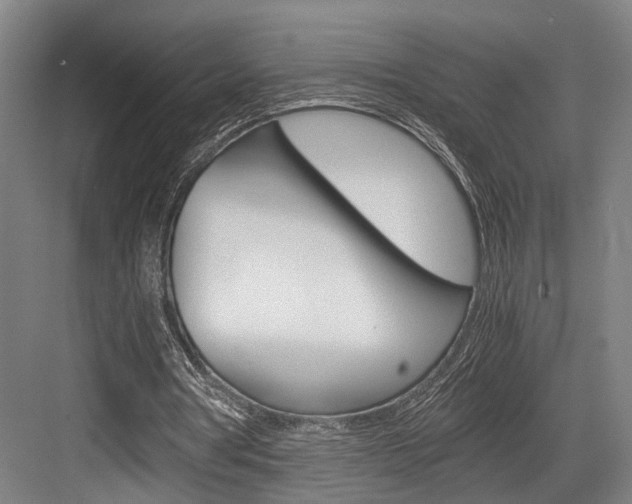 X0000084000386200702160802
