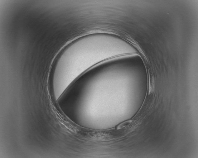 X0000084000387200702160802