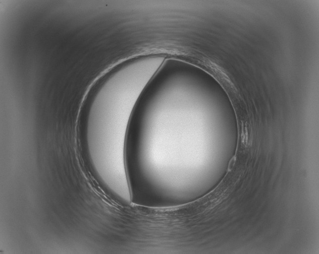 X0000084000388200702160802