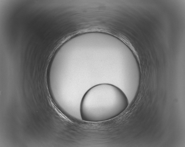 X0000084000389200702160802