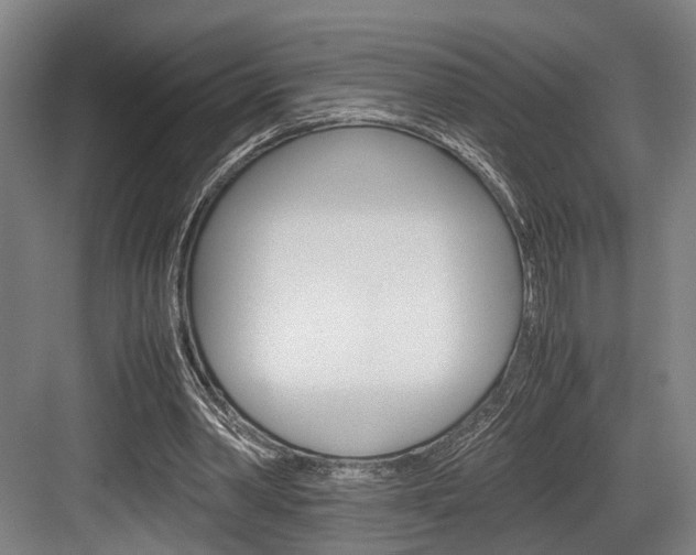 X0000084000390200702160802