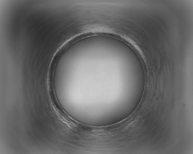 X0000084000391200702160802