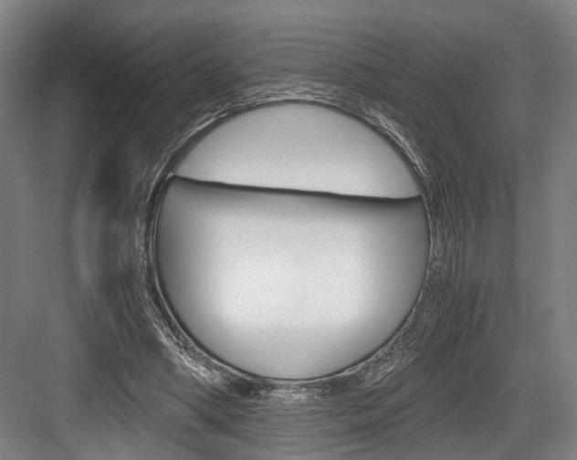 X0000084000394200702160802
