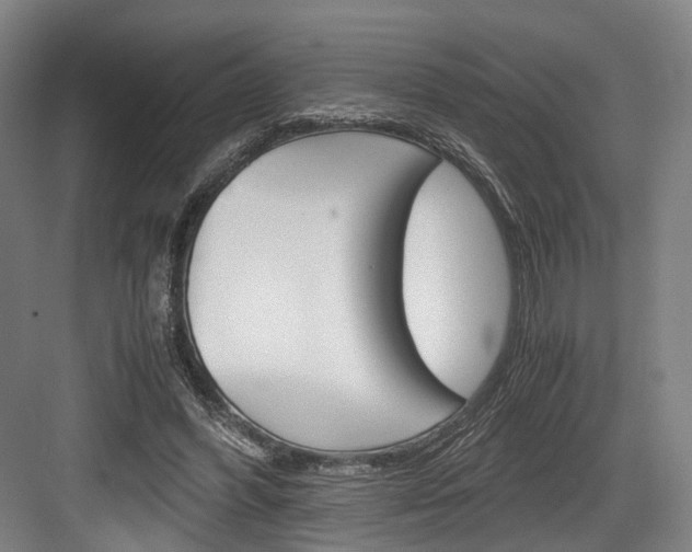 X0000084000396200702160802