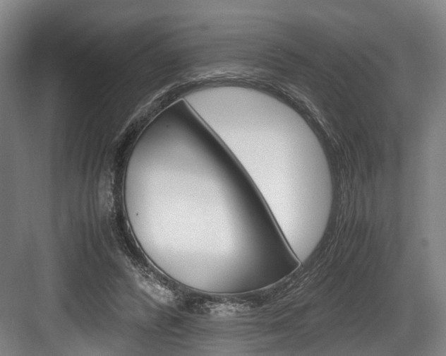 X0000084000400200702160802