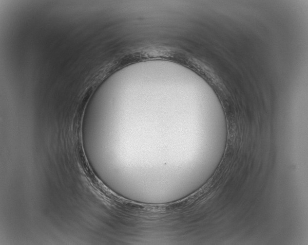 X0000084000402200702160802