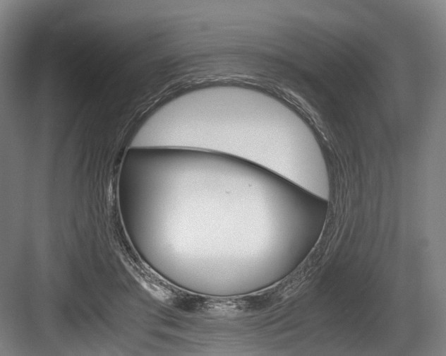 X0000084000405200702160802