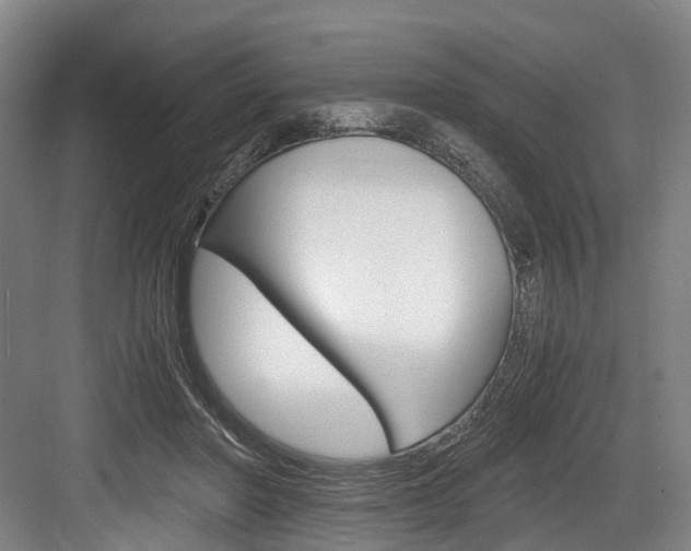 X0000084000406200702160802