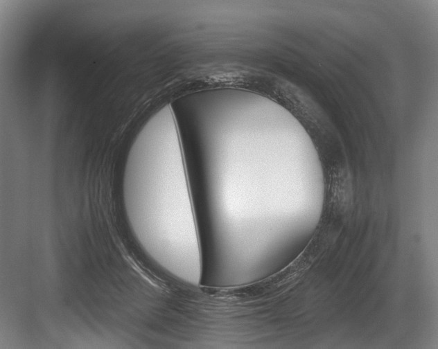 X0000084000408200702160801