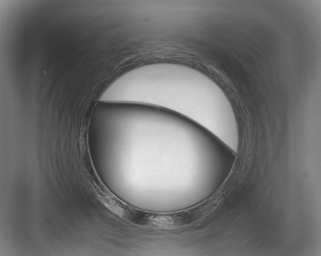 X0000084000409200702160801