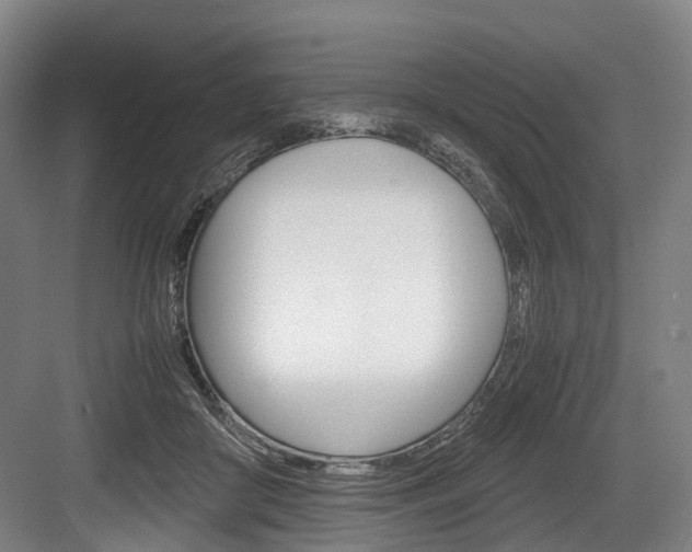 X0000084000410200702160801
