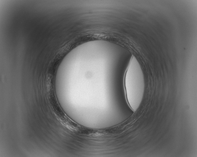 X0000084000412200702160801