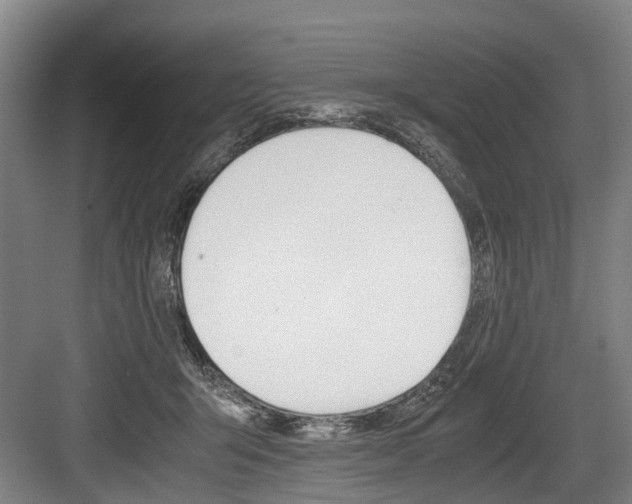 X0000084000415200702160801