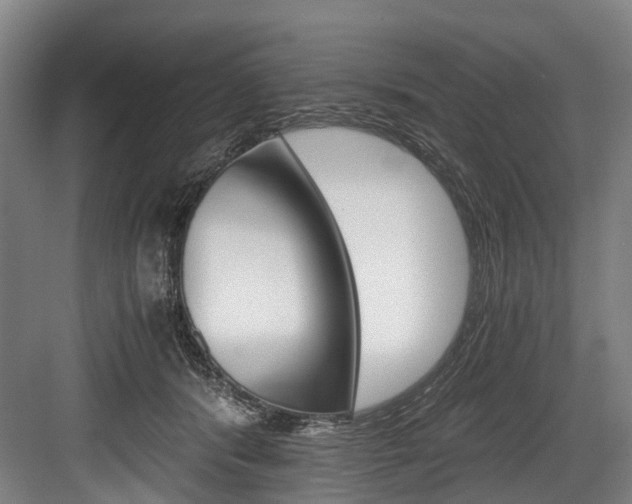 X0000084000416200702160801