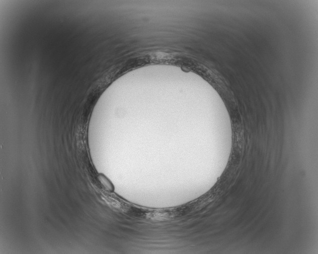X0000084000419200702160801