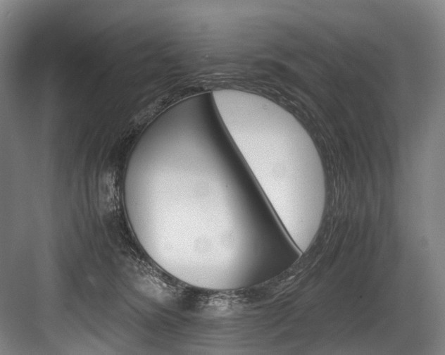 X0000084000420200702160801