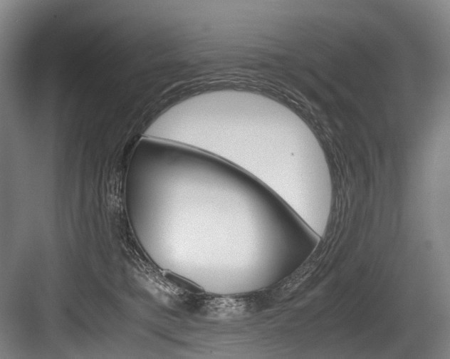 X0000084000421200702160801