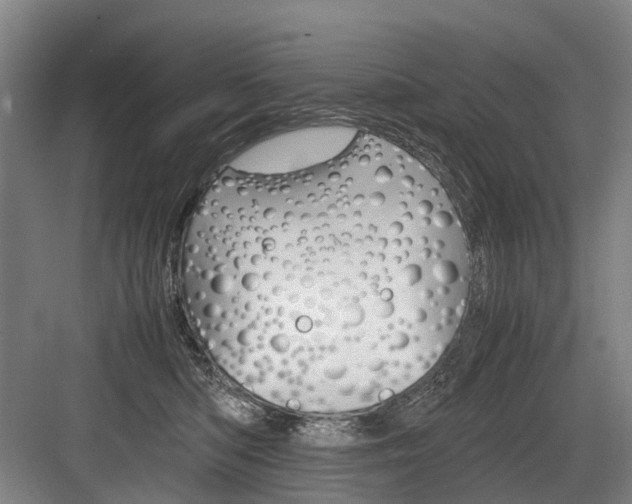 X0000084000422200702160801