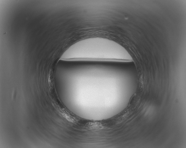 X0000084000424200702160801