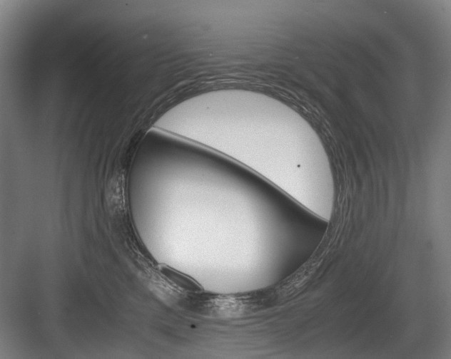 X0000084000425200702160801