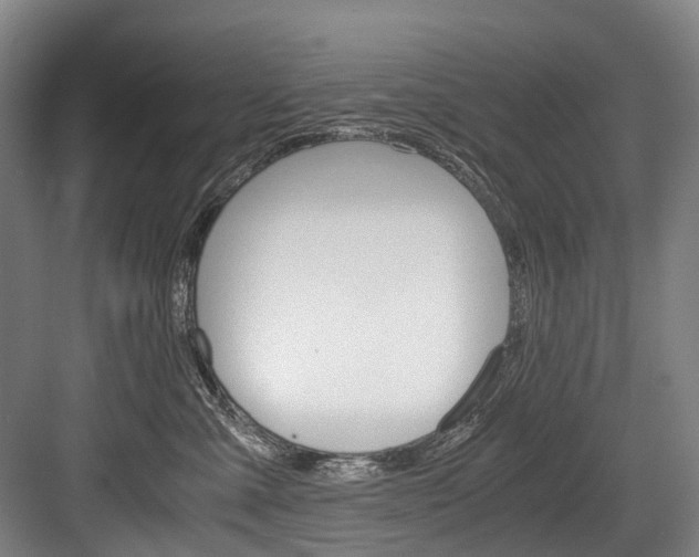 X0000084000427200702160801