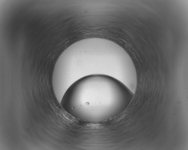 X0000084000428200702160801