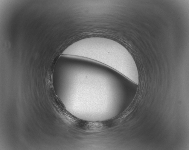 X0000084000429200702160801
