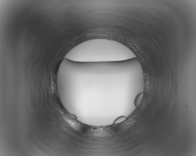 X0000084000430200702160801