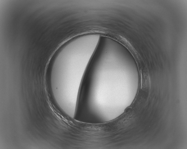 X0000084000435200702160800