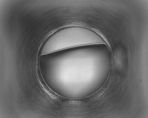 X0000084000437200702160800