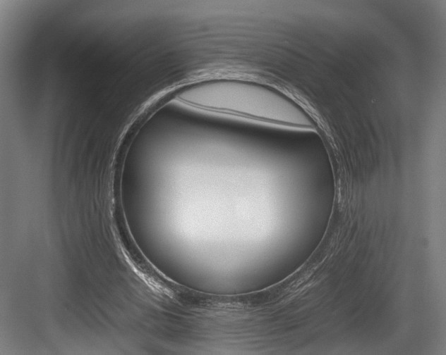 X0000084000438200702160800