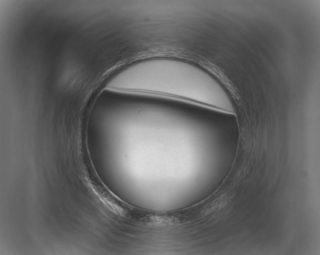 X0000084000442200702160800