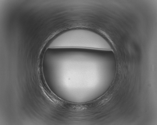 X0000084000443200702160800