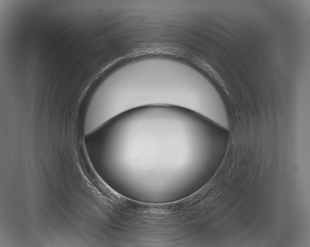 X0000084000444200702160800