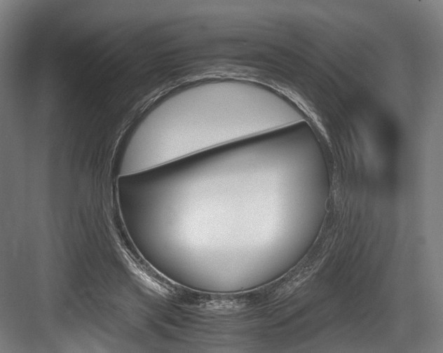 X0000084000445200702160800