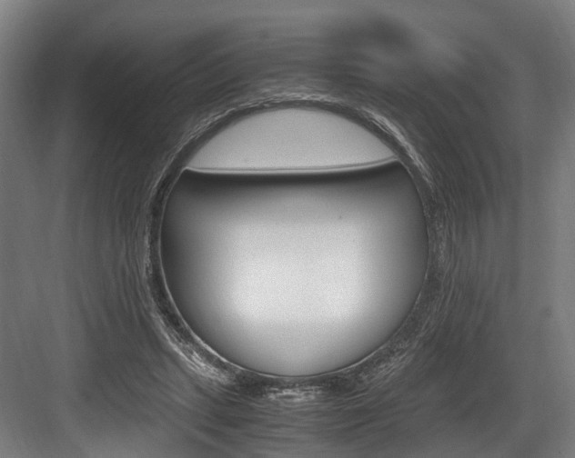 X0000084000447200702160801